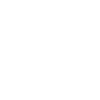 Shark Body Grooming